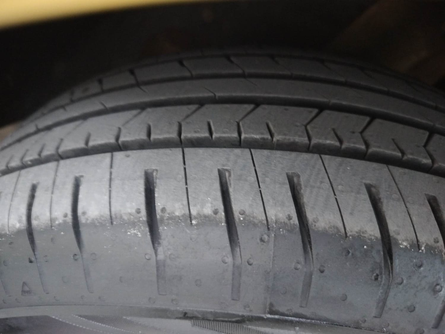 Virtus image 38 Virtus image 38