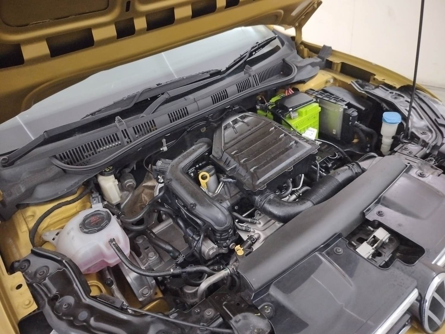 Virtus image 29 Virtus image 29