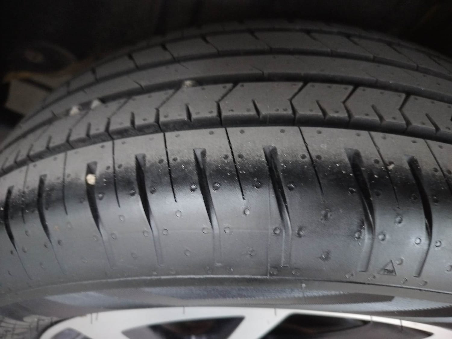 Virtus image 39 Virtus image 39