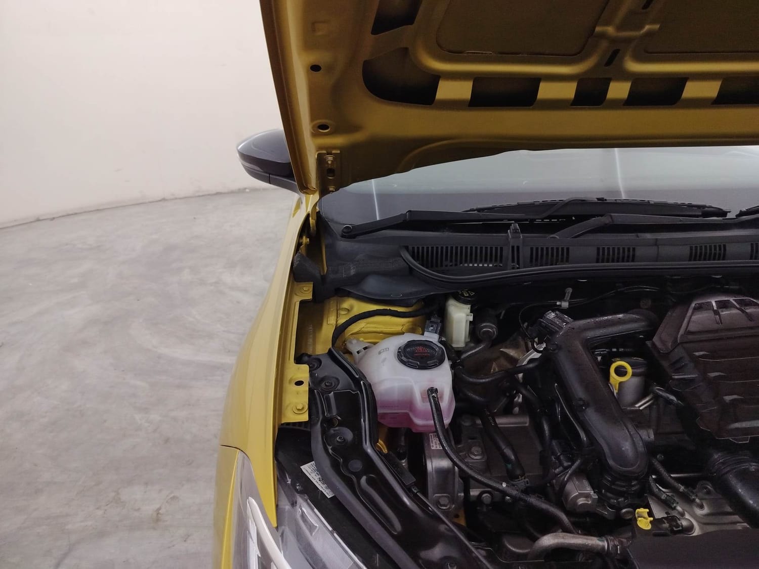 Virtus image 31 Virtus image 31