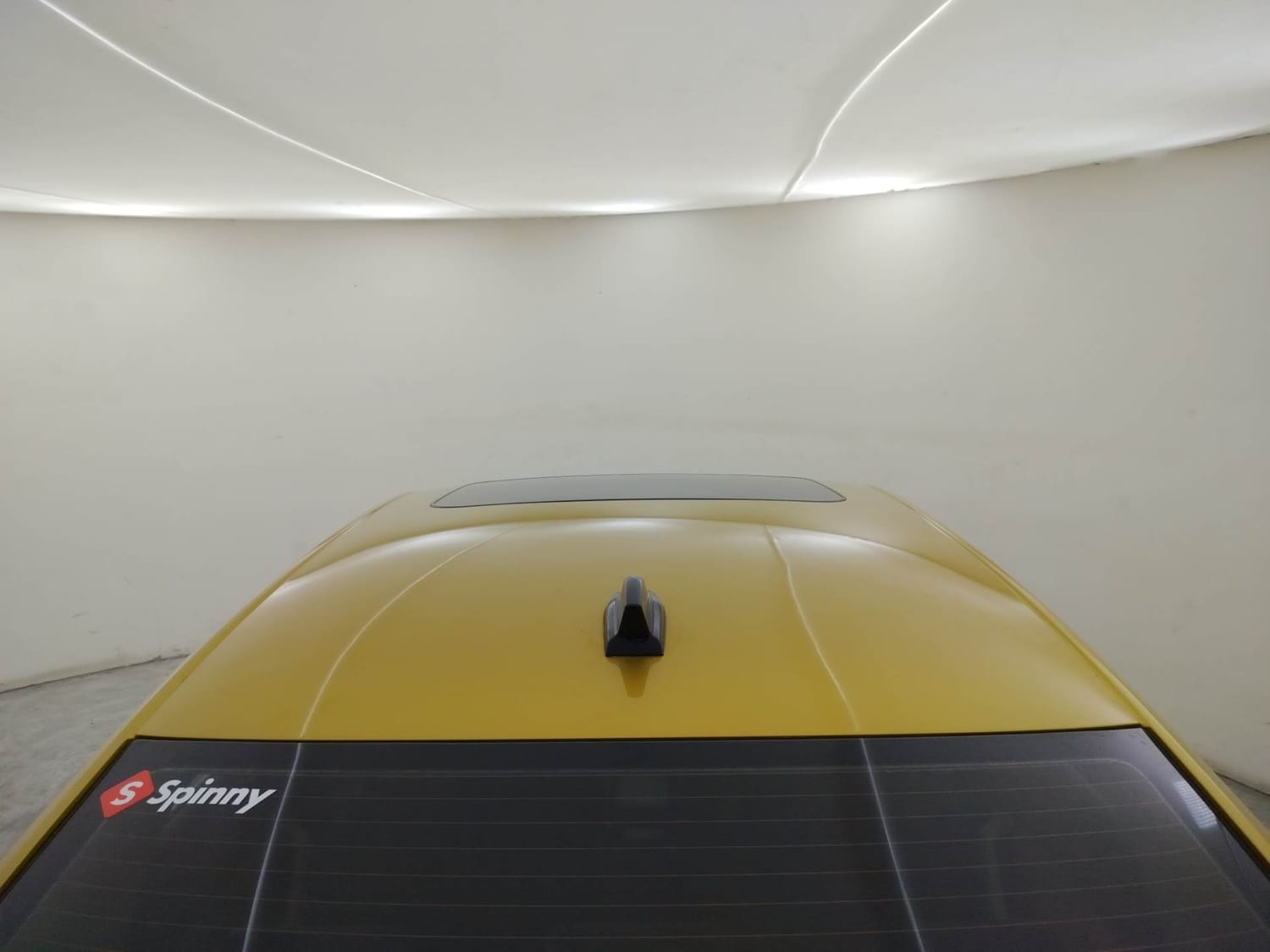 Virtus image 11 Virtus image 11