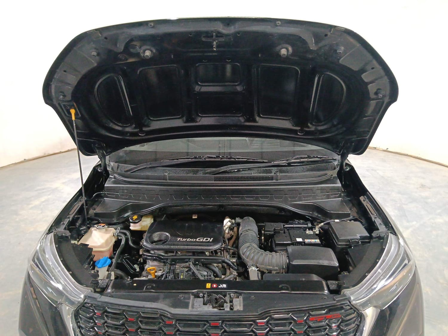 Sonet image 27 Sonet image 27