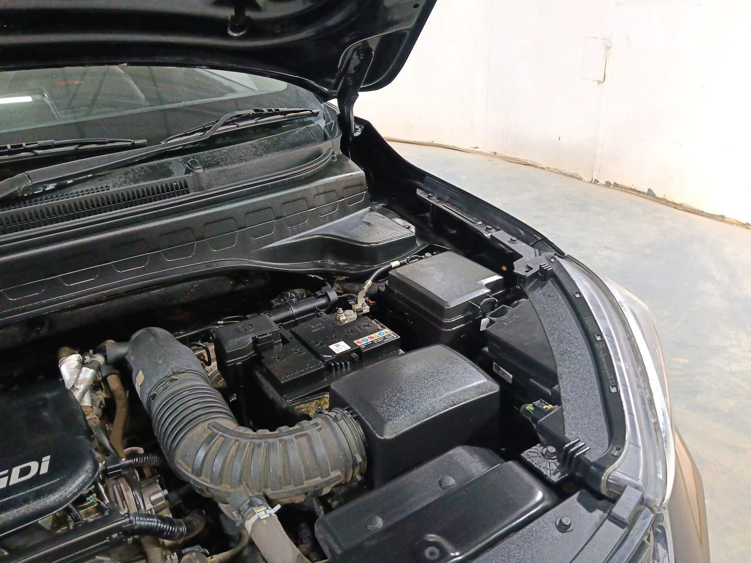 Sonet image 30 Sonet image 30