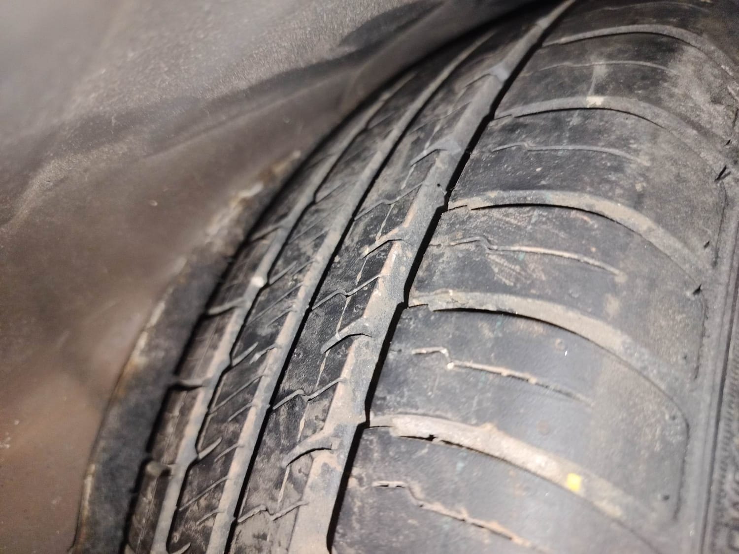 Freestyle image 40 Freestyle image 40