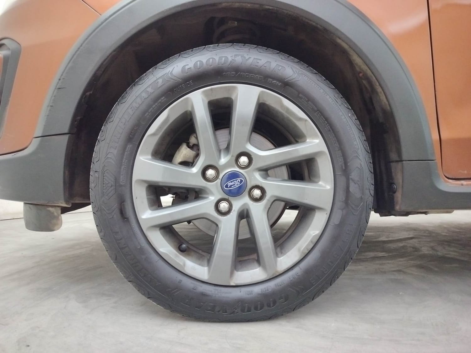 Freestyle image 34 Freestyle image 34