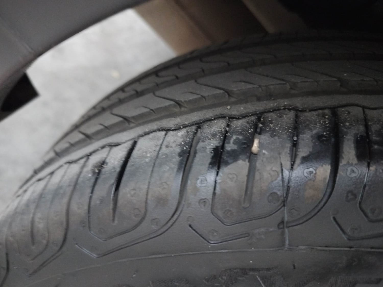 Freestyle image 37 Freestyle image 37