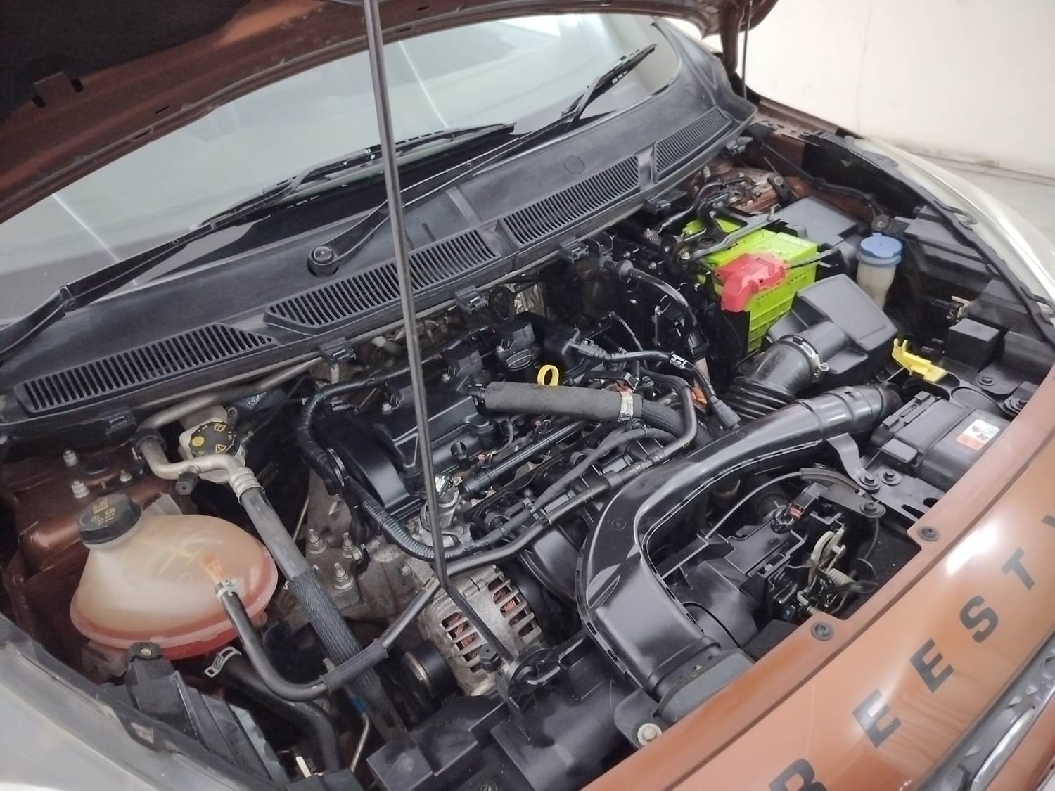 Freestyle image 29 Freestyle image 29