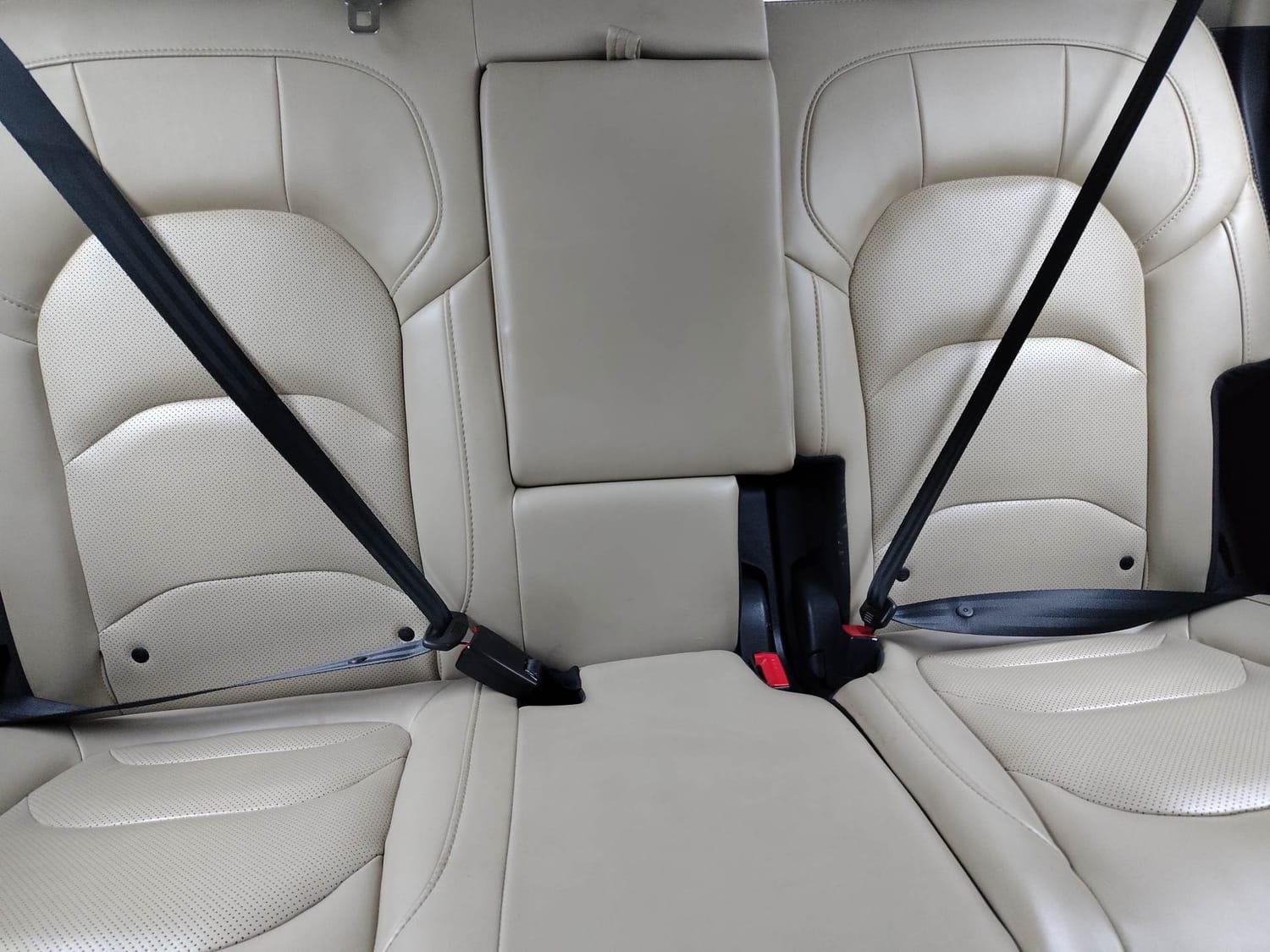 Hector image 23 Hector image 23