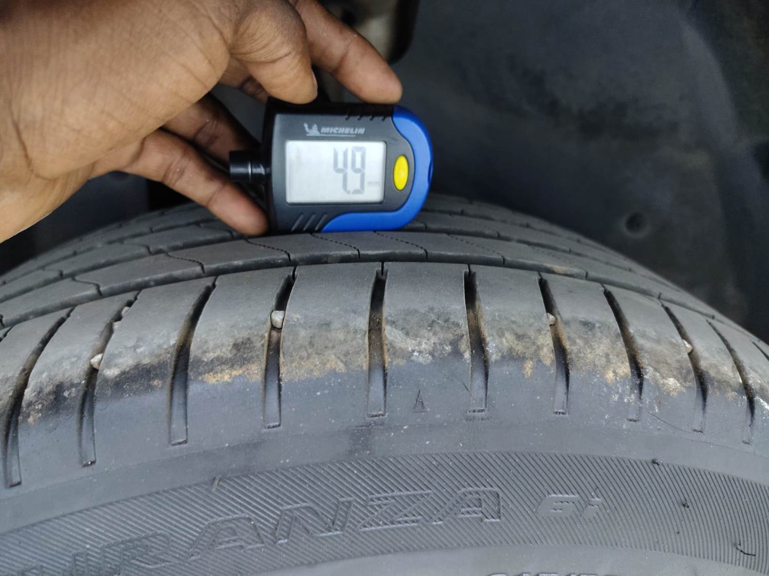 Hector image 37 Hector image 37