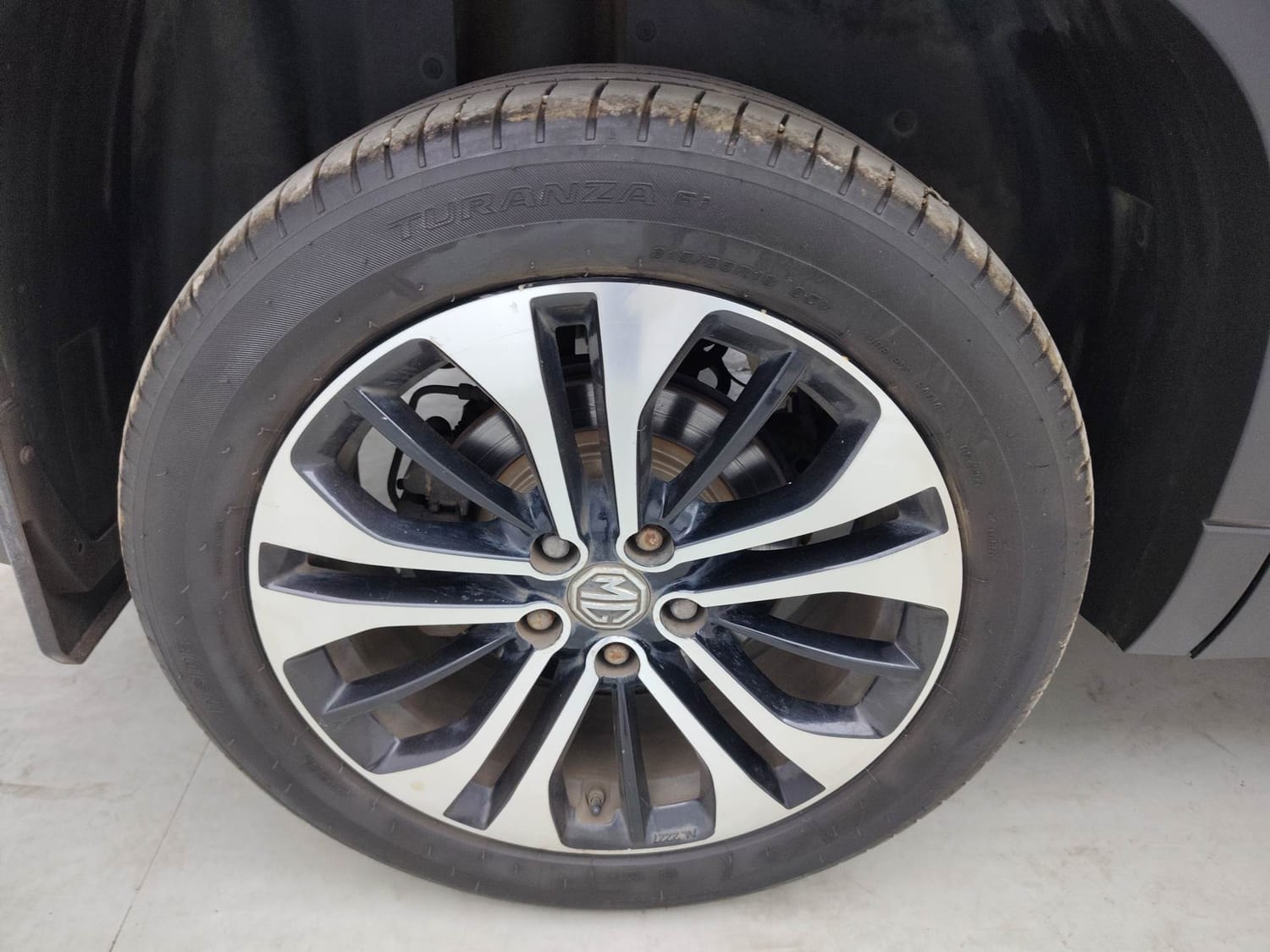 Hector image 33 Hector image 33