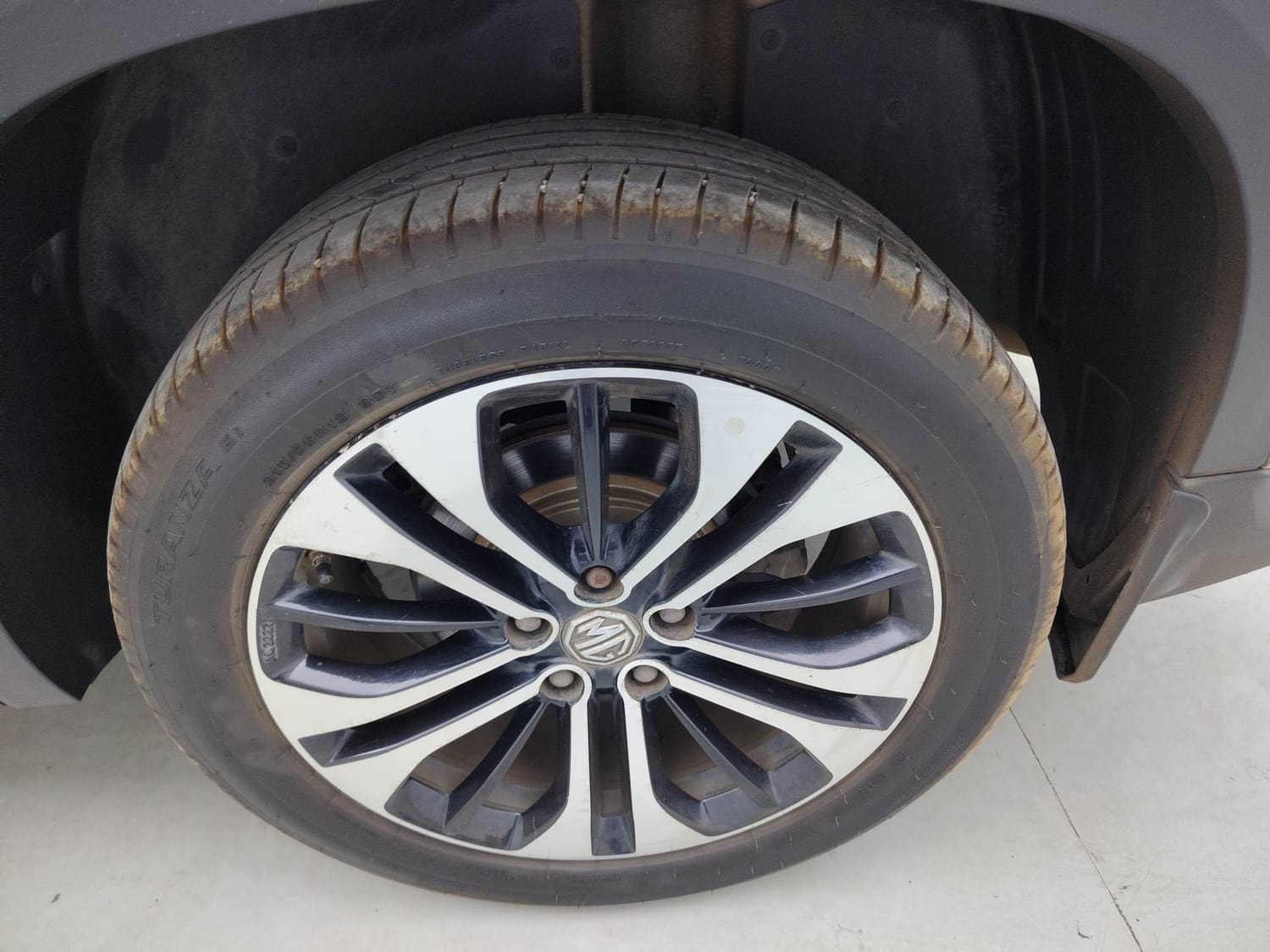 Hector image 35 Hector image 35