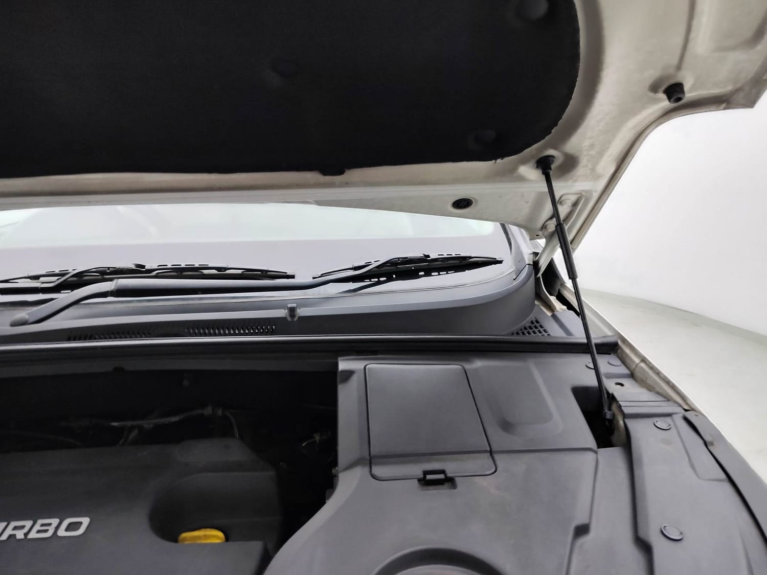 Hector image 30 Hector image 30