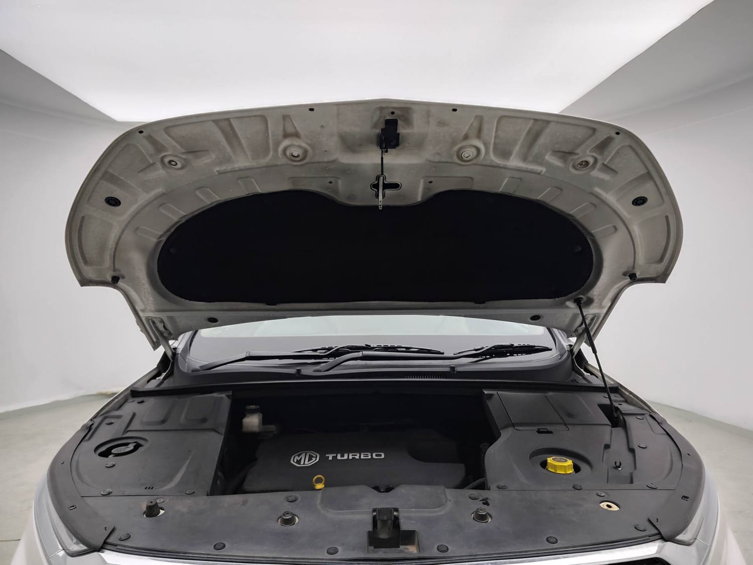 Hector image 27 Hector image 27