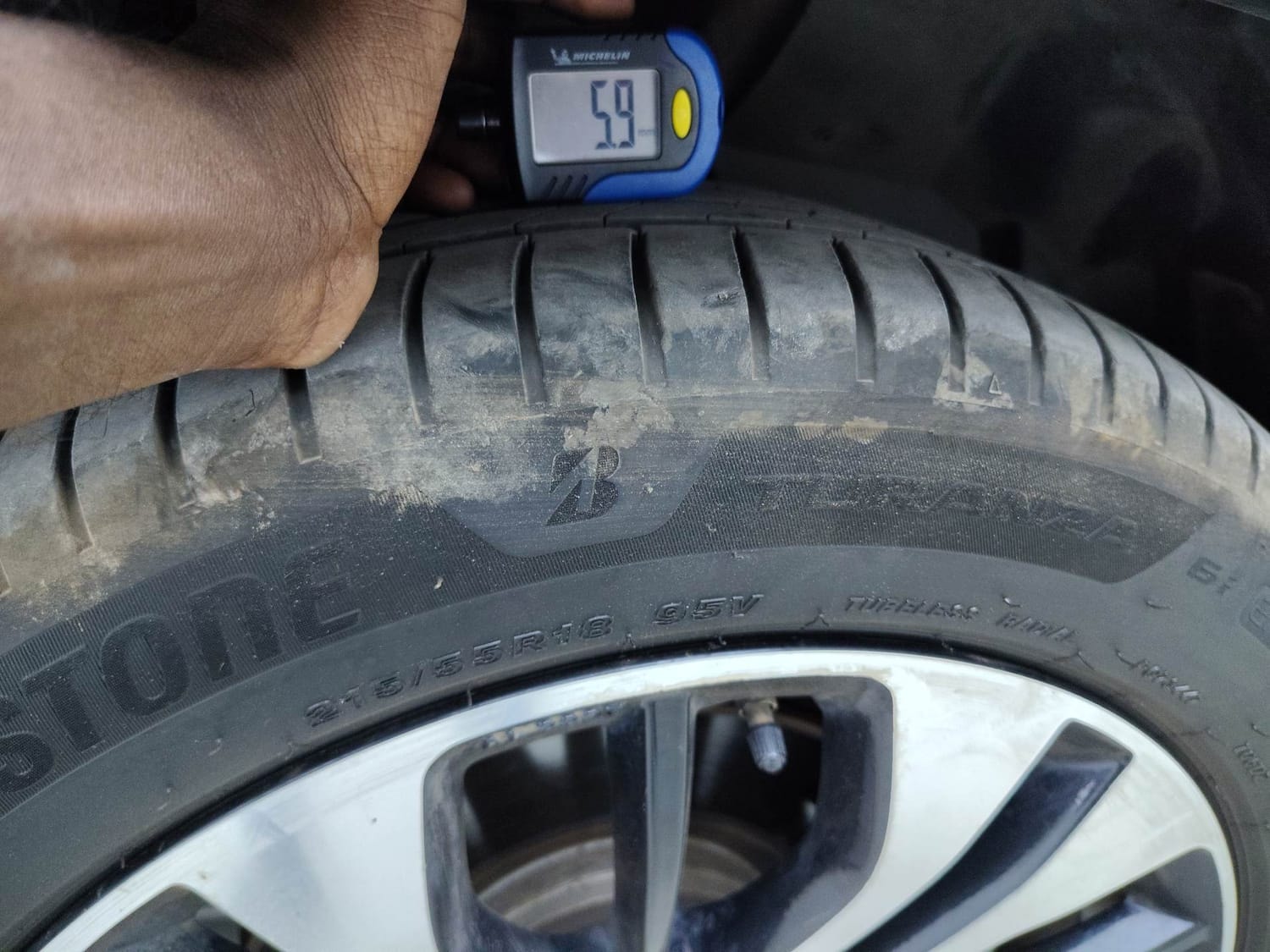 Hector image 32 Hector image 32