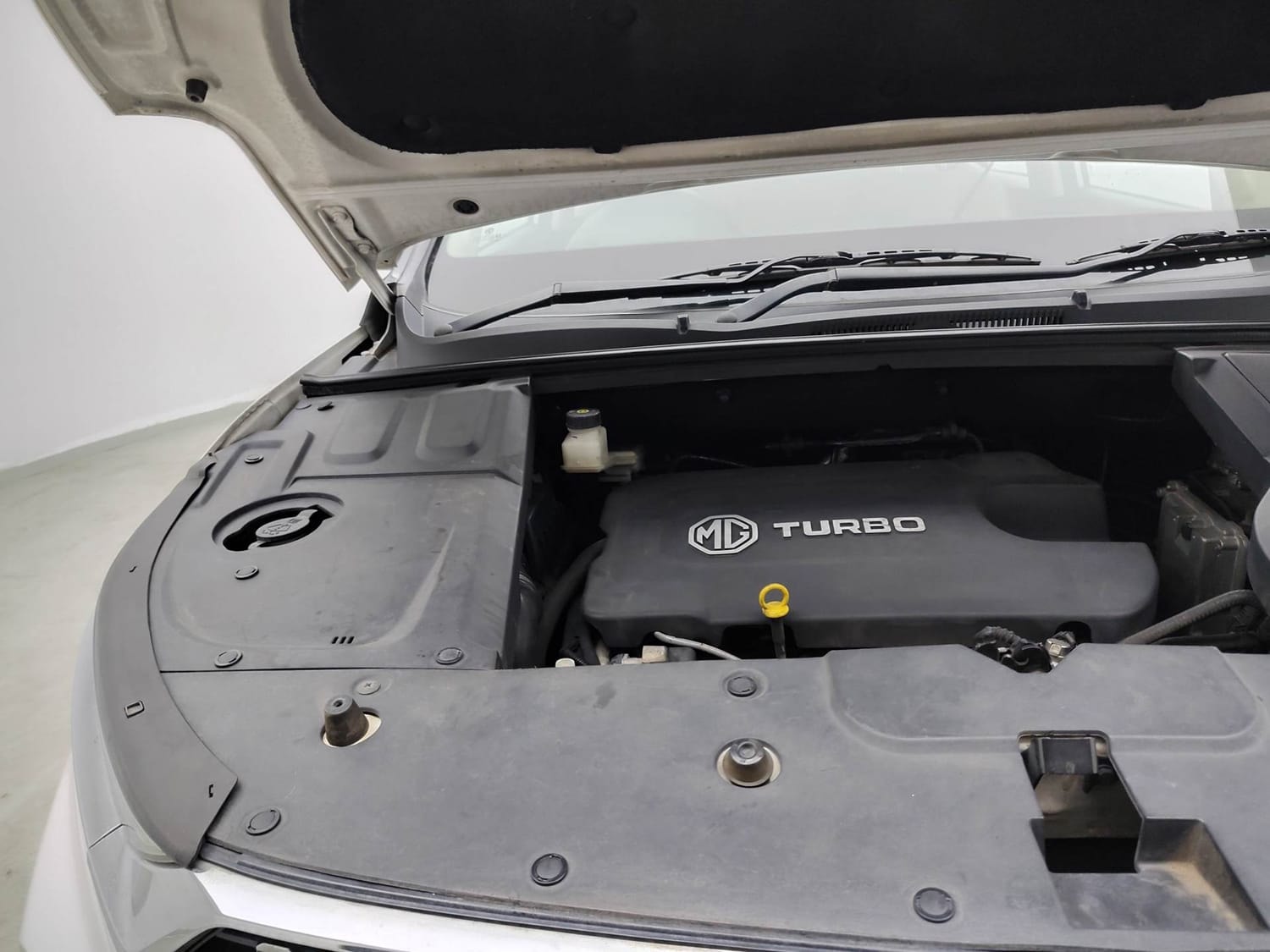 Hector image 29 Hector image 29