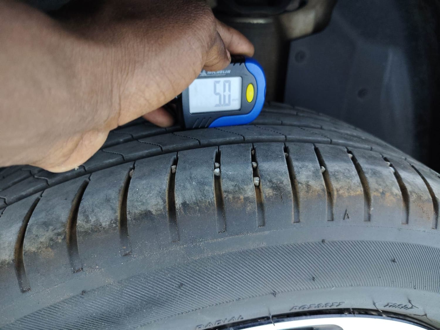 Hector image 39 Hector image 39