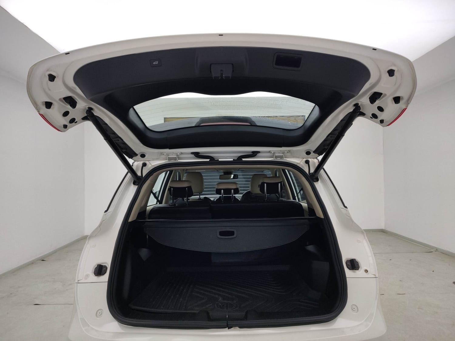 Hector image 24 Hector image 24