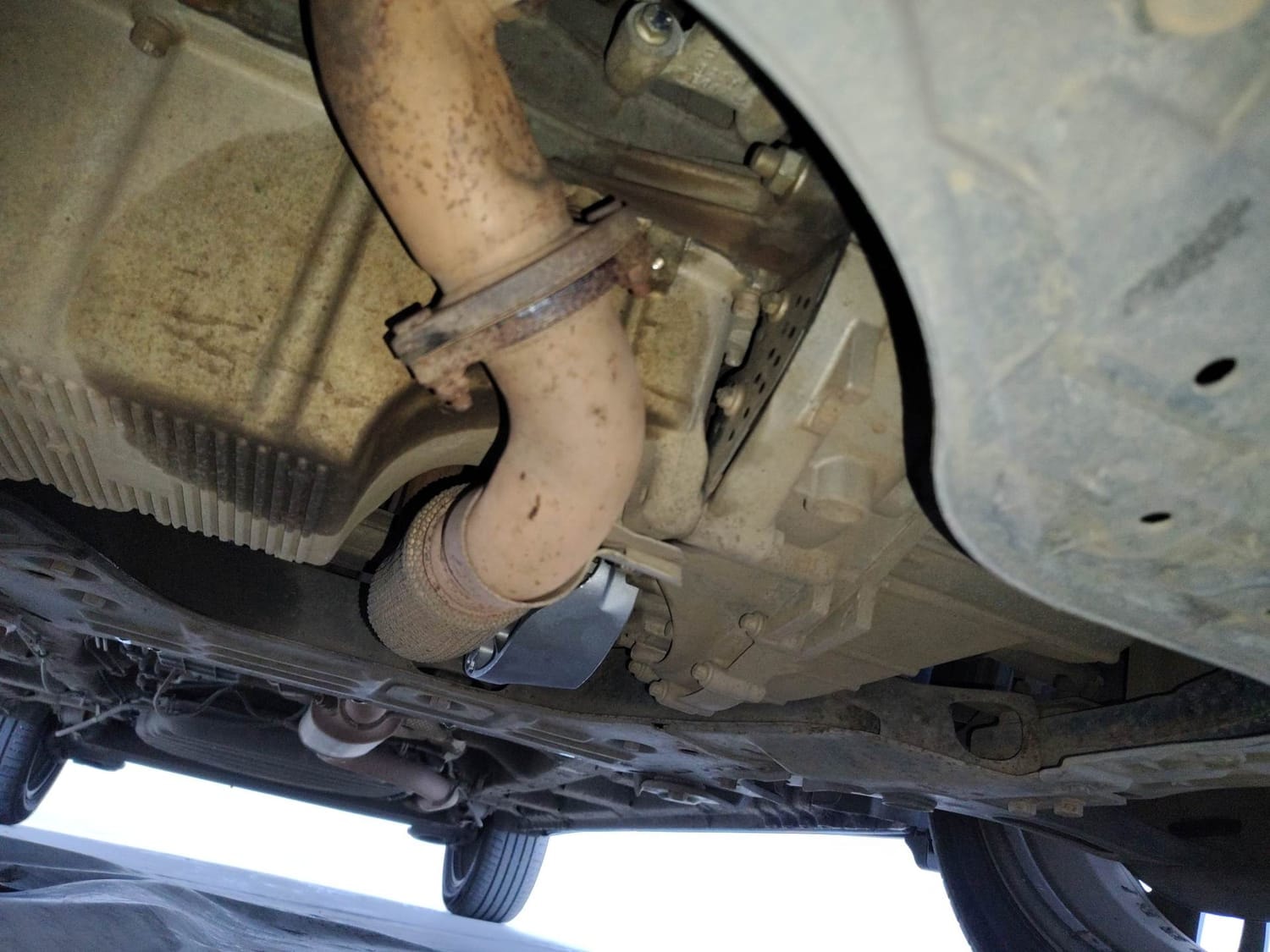 Hector image 16 Hector image 16