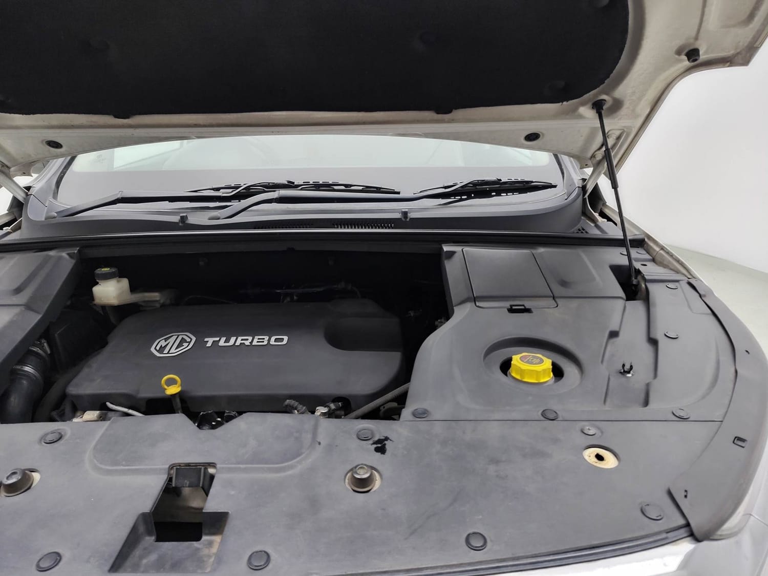 Hector image 28 Hector image 28