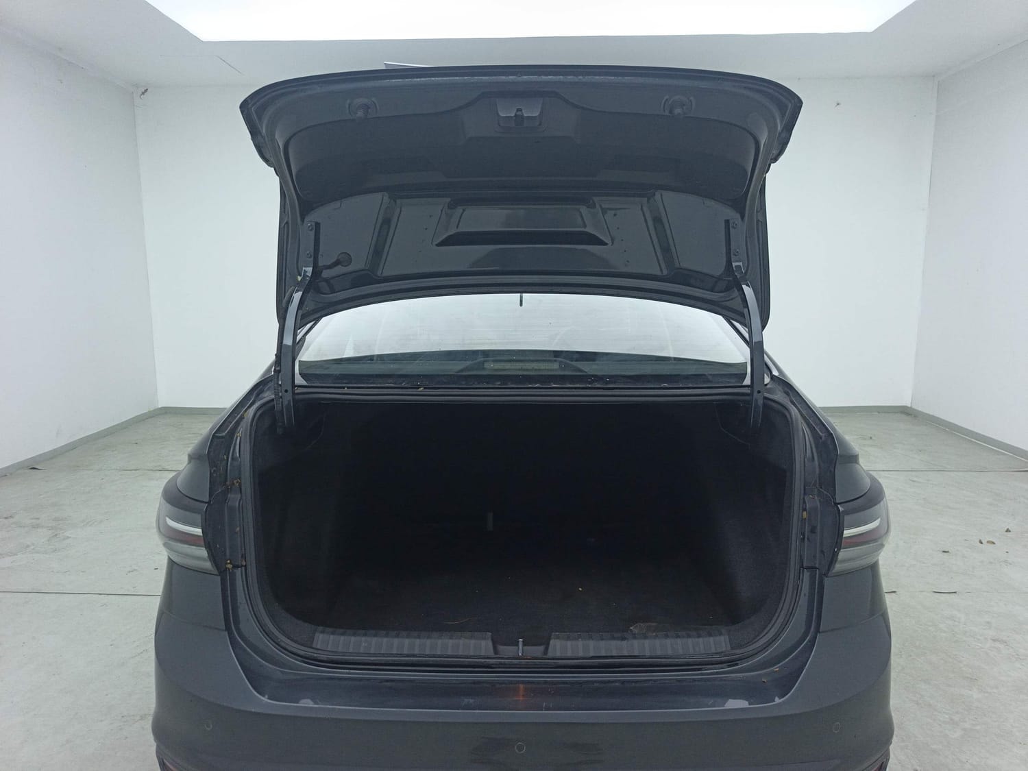 Virtus image 24 Virtus image 24