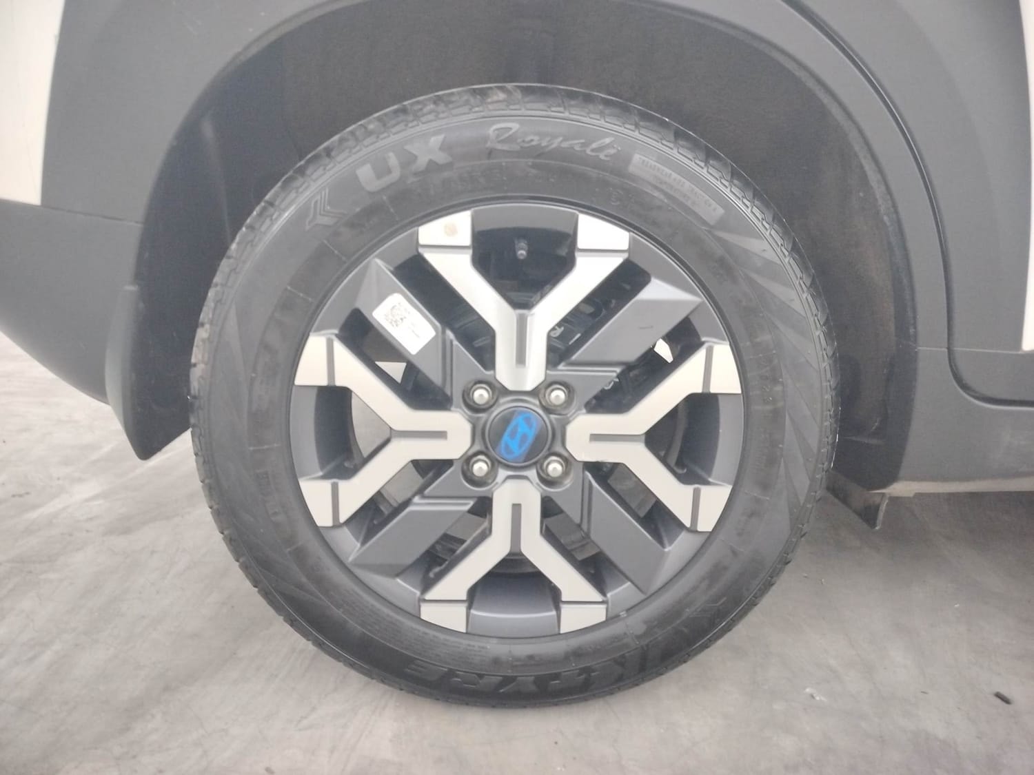 Exter image 33 Exter image 33