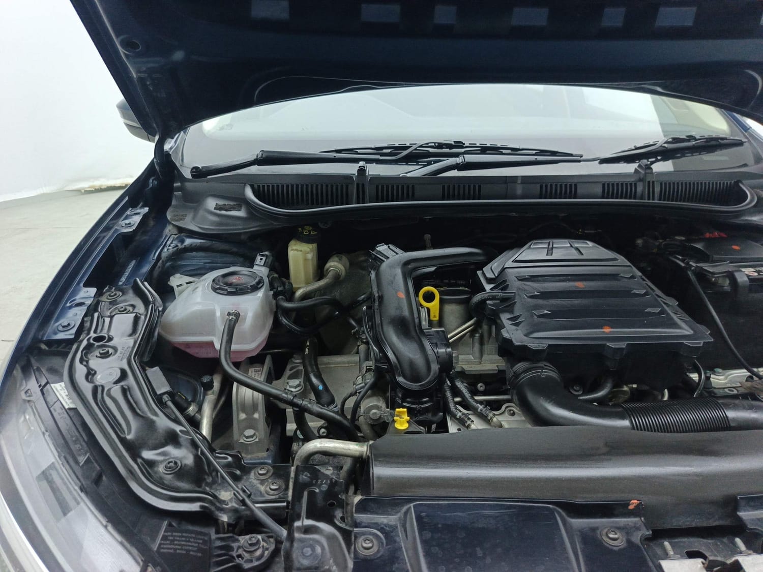 Virtus image 31 Virtus image 31