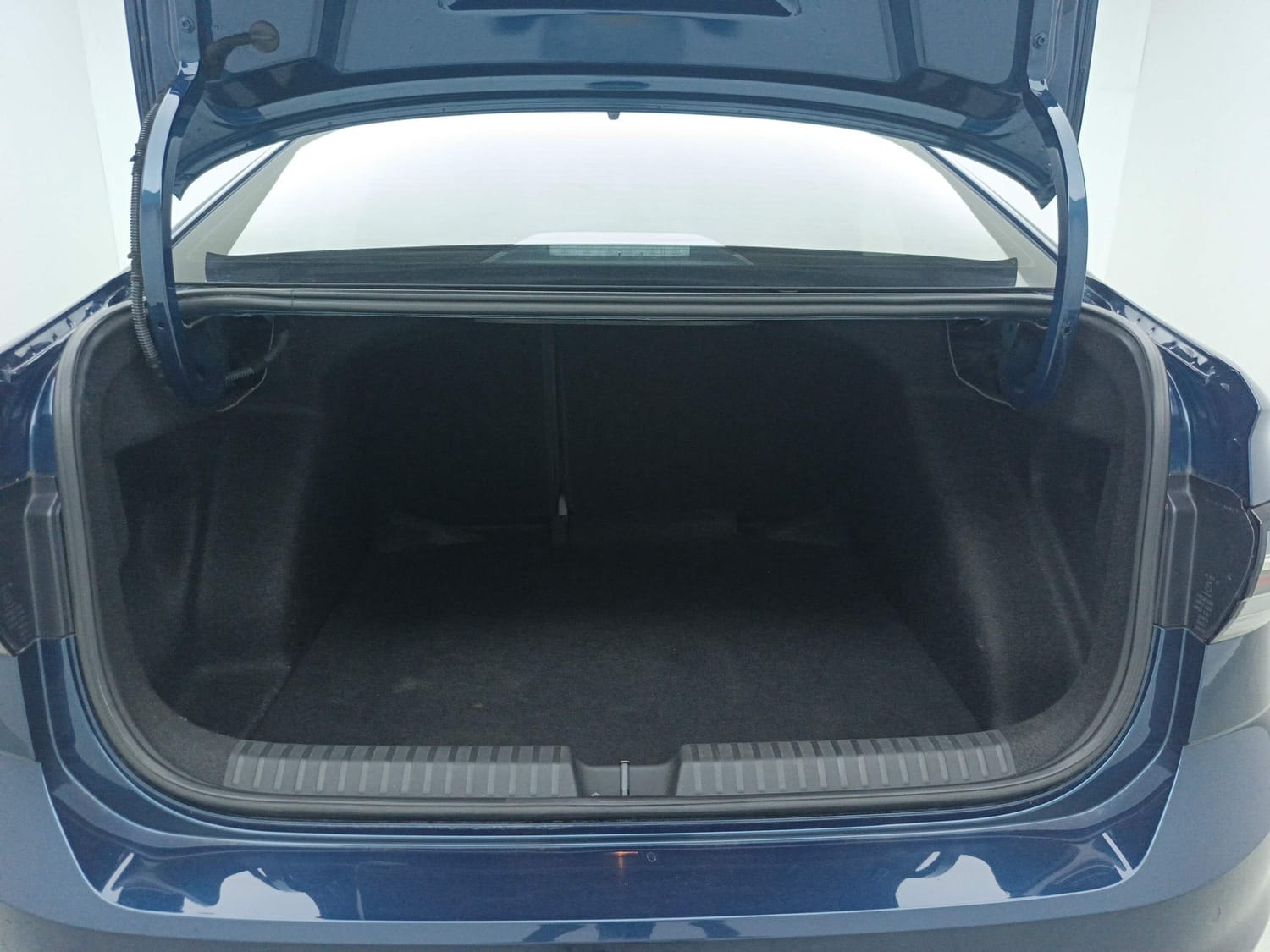 Virtus image 25 Virtus image 25