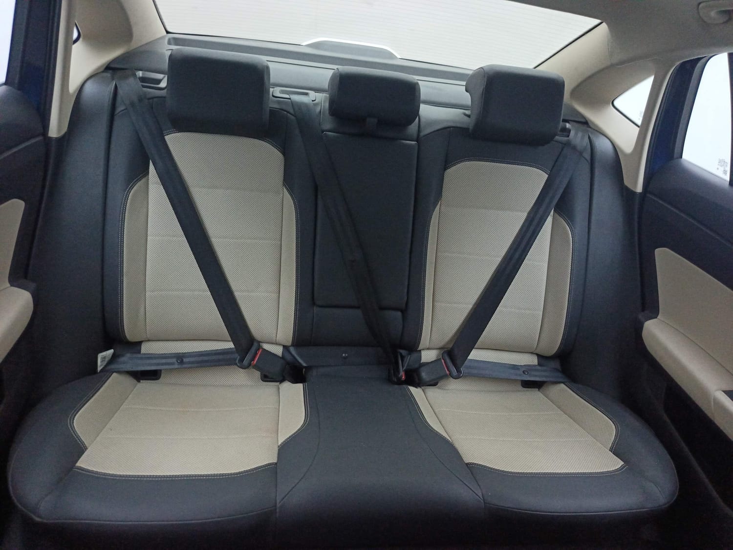 Virtus image 23 Virtus image 23