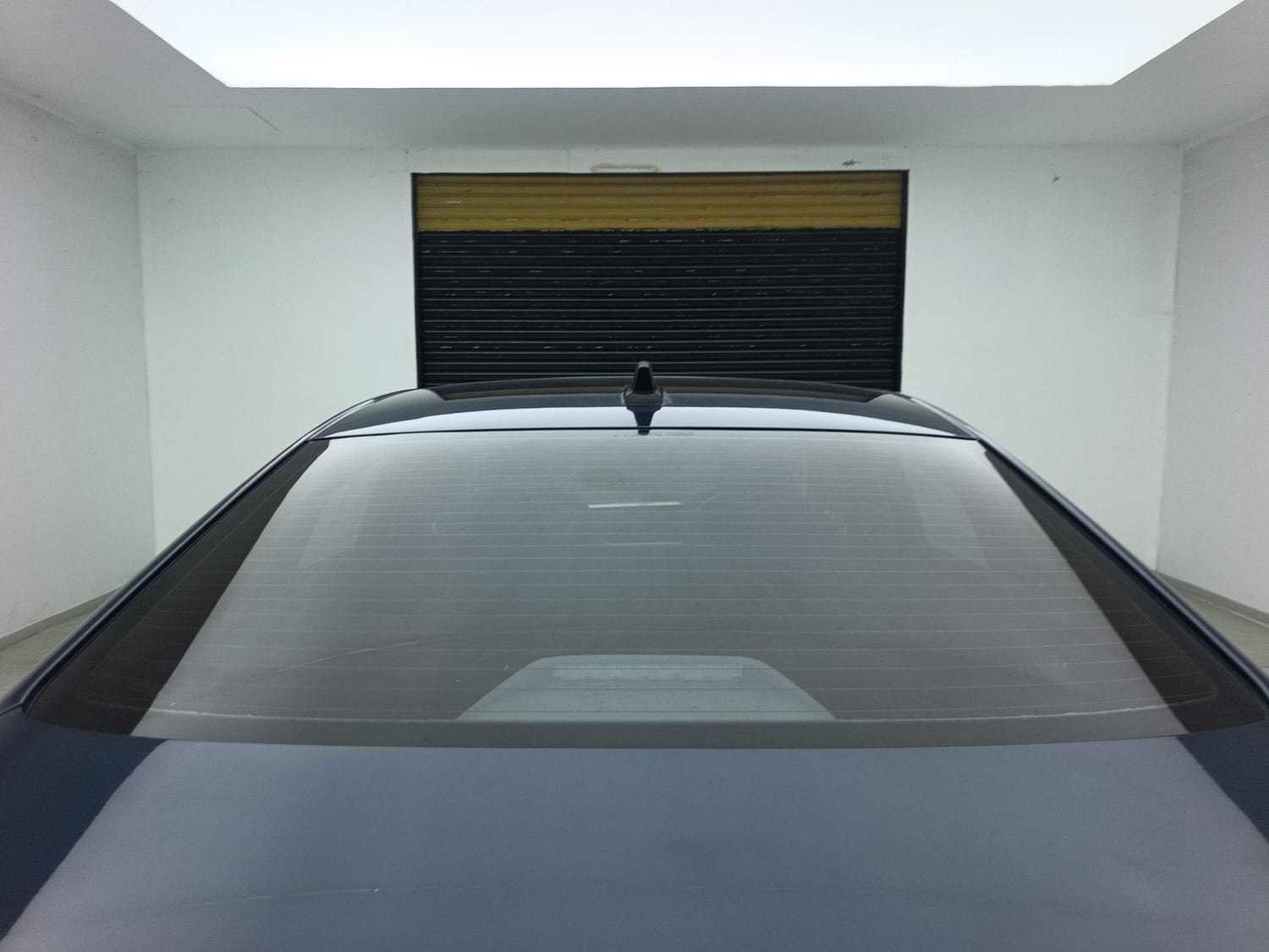 Virtus image 10 Virtus image 10