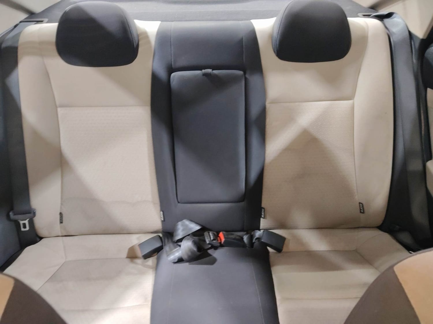 Verna image 23 Verna image 23