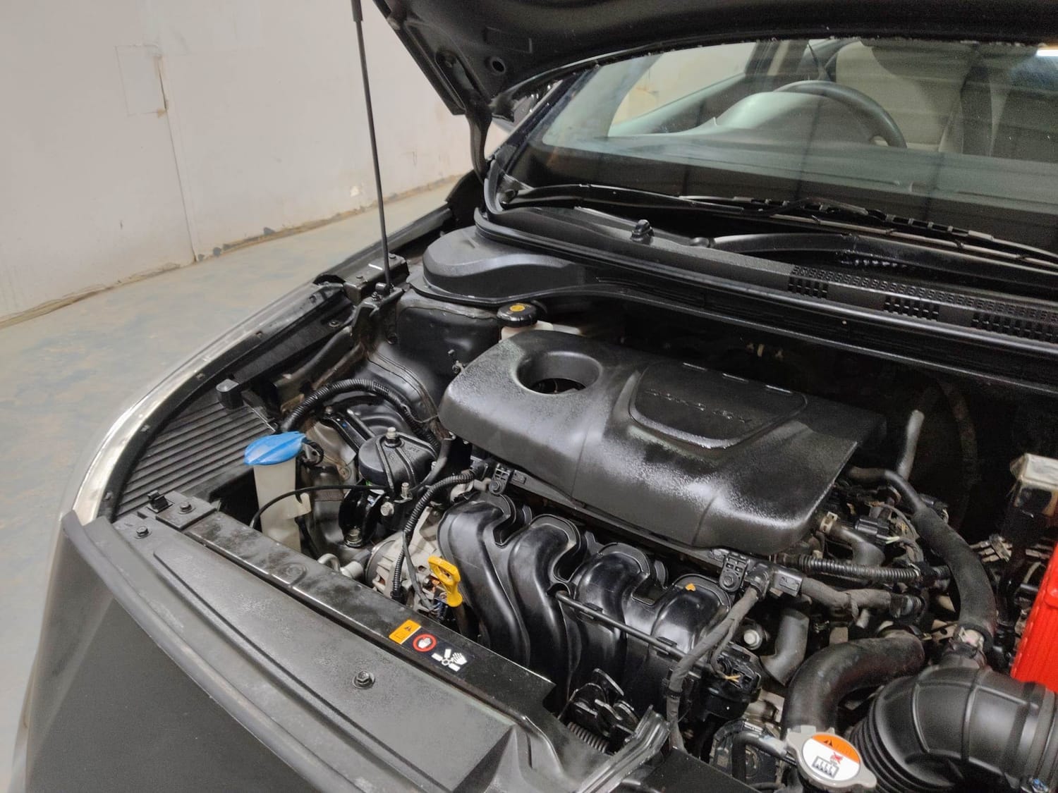 Verna image 29 Verna image 29