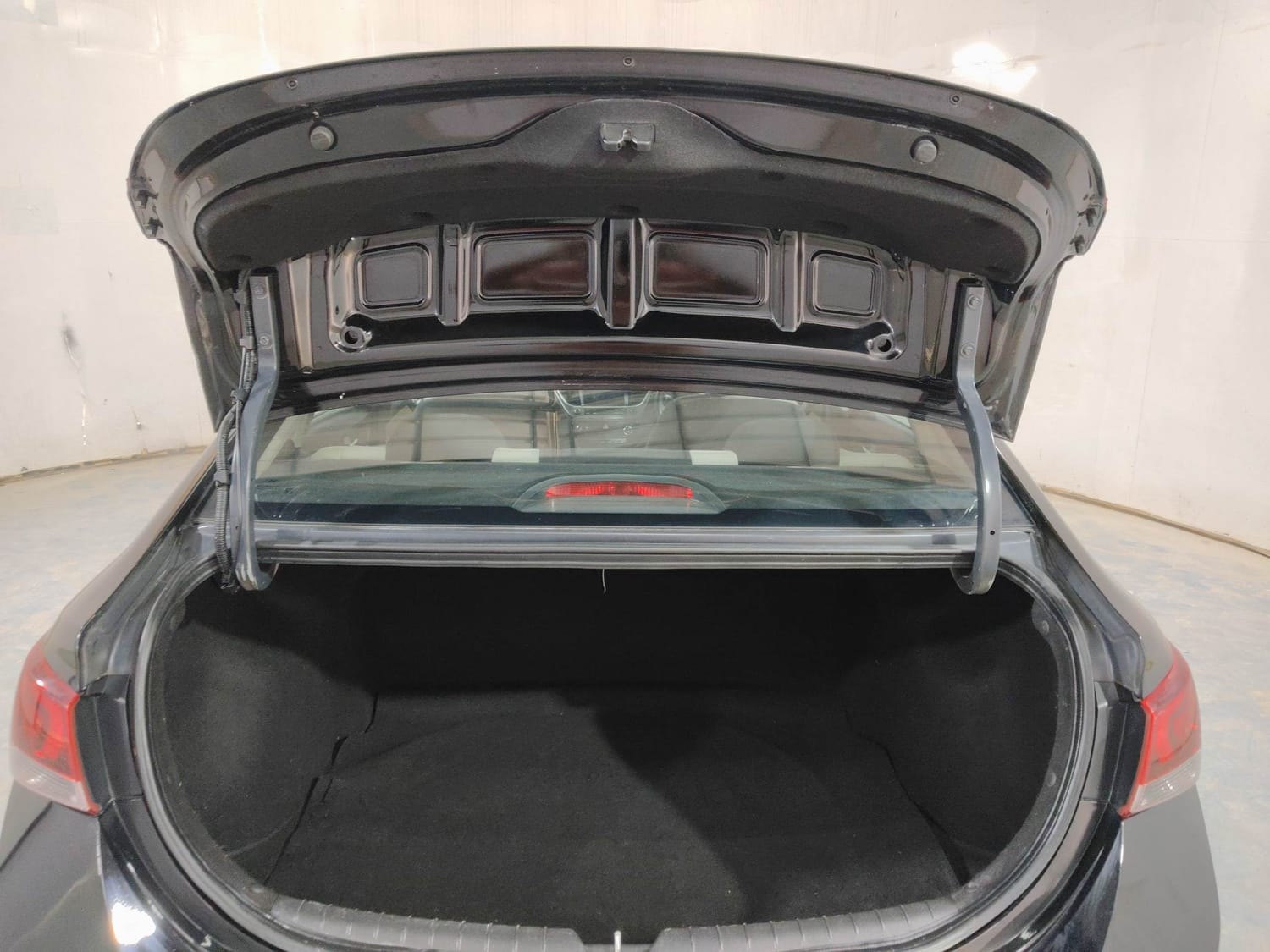 Verna image 24 Verna image 24