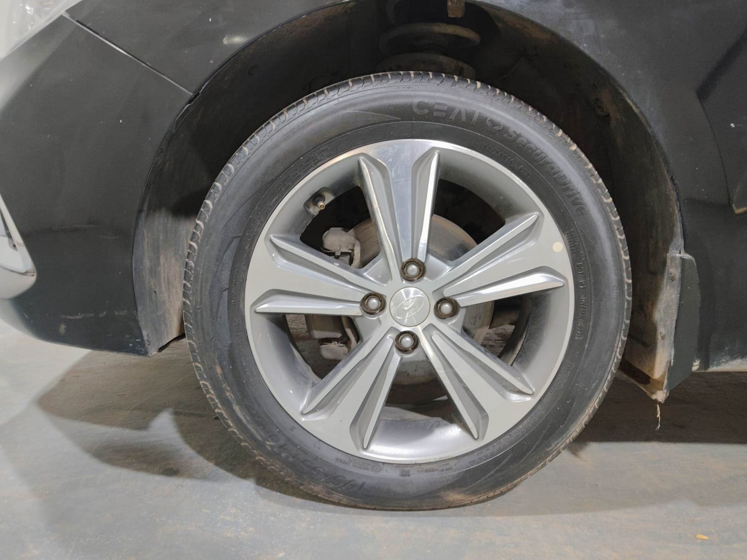 Verna image 34 Verna image 34