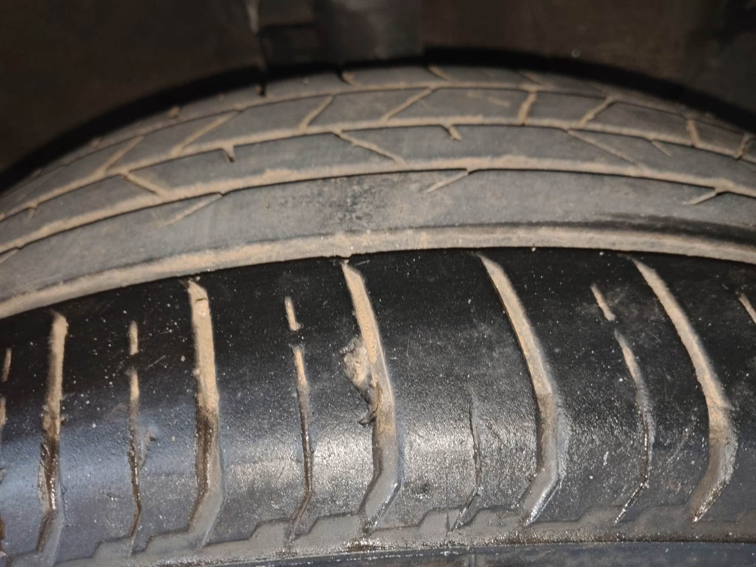 Verna image 36 Verna image 36