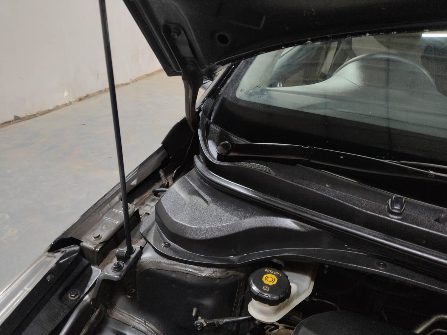 Verna image 31 Verna image 31