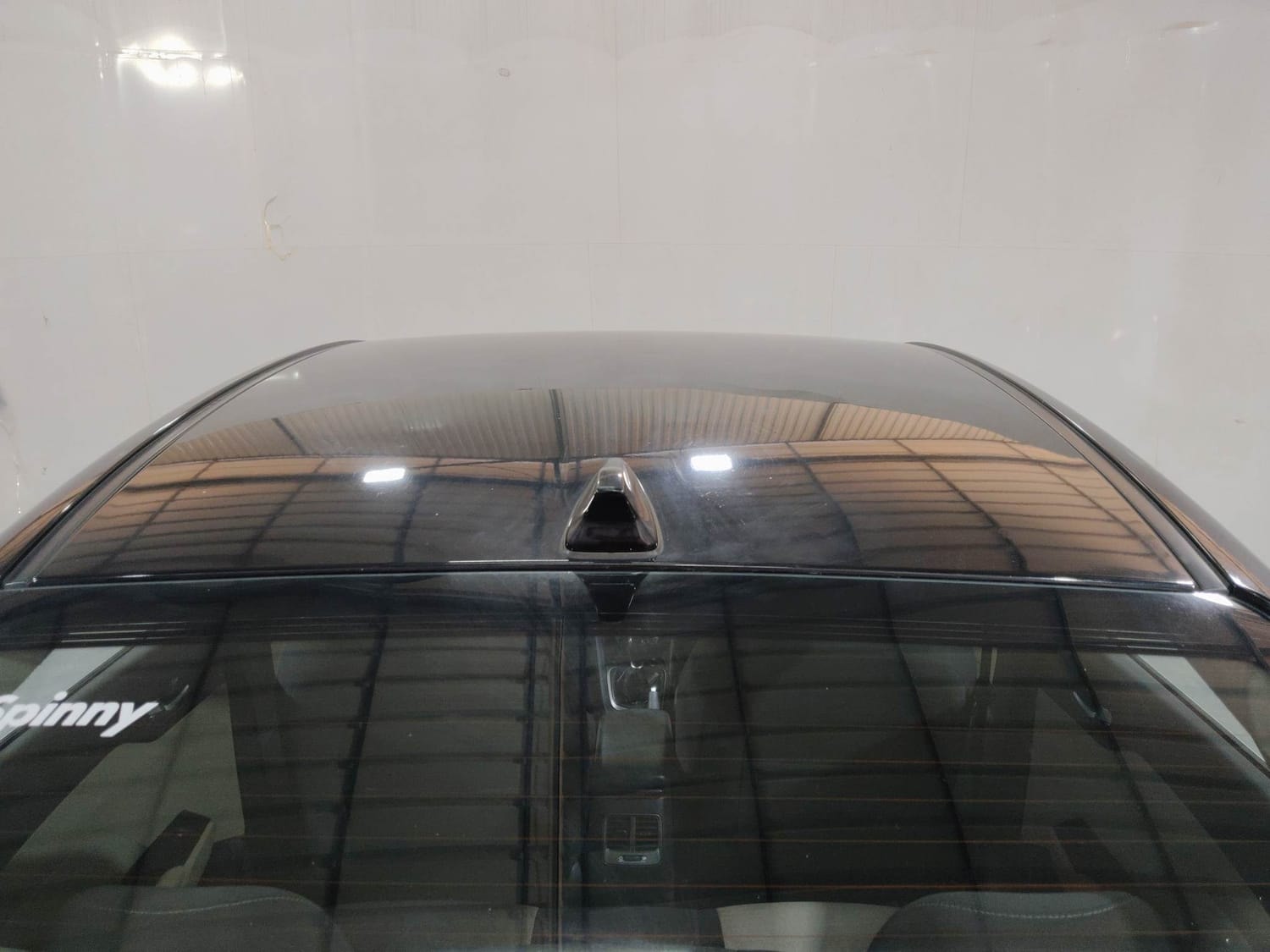 Verna image 11 Verna image 11