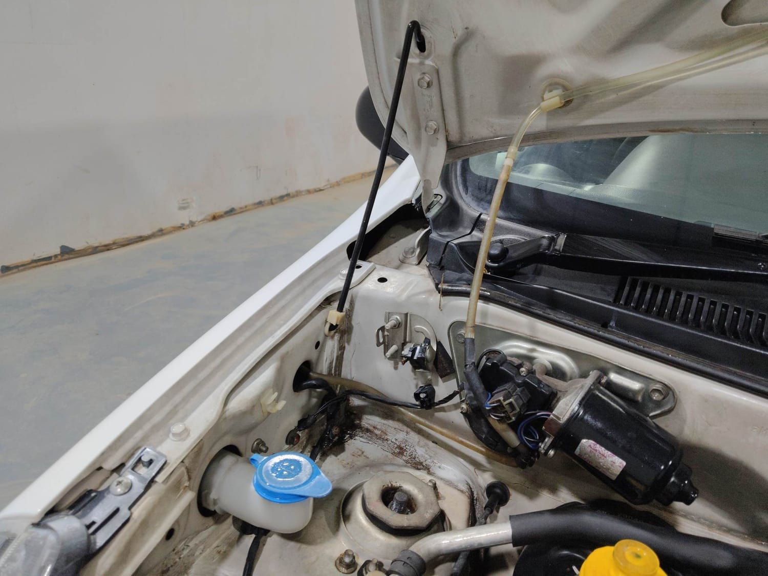 Alto 800 image 31 Alto 800 image 31