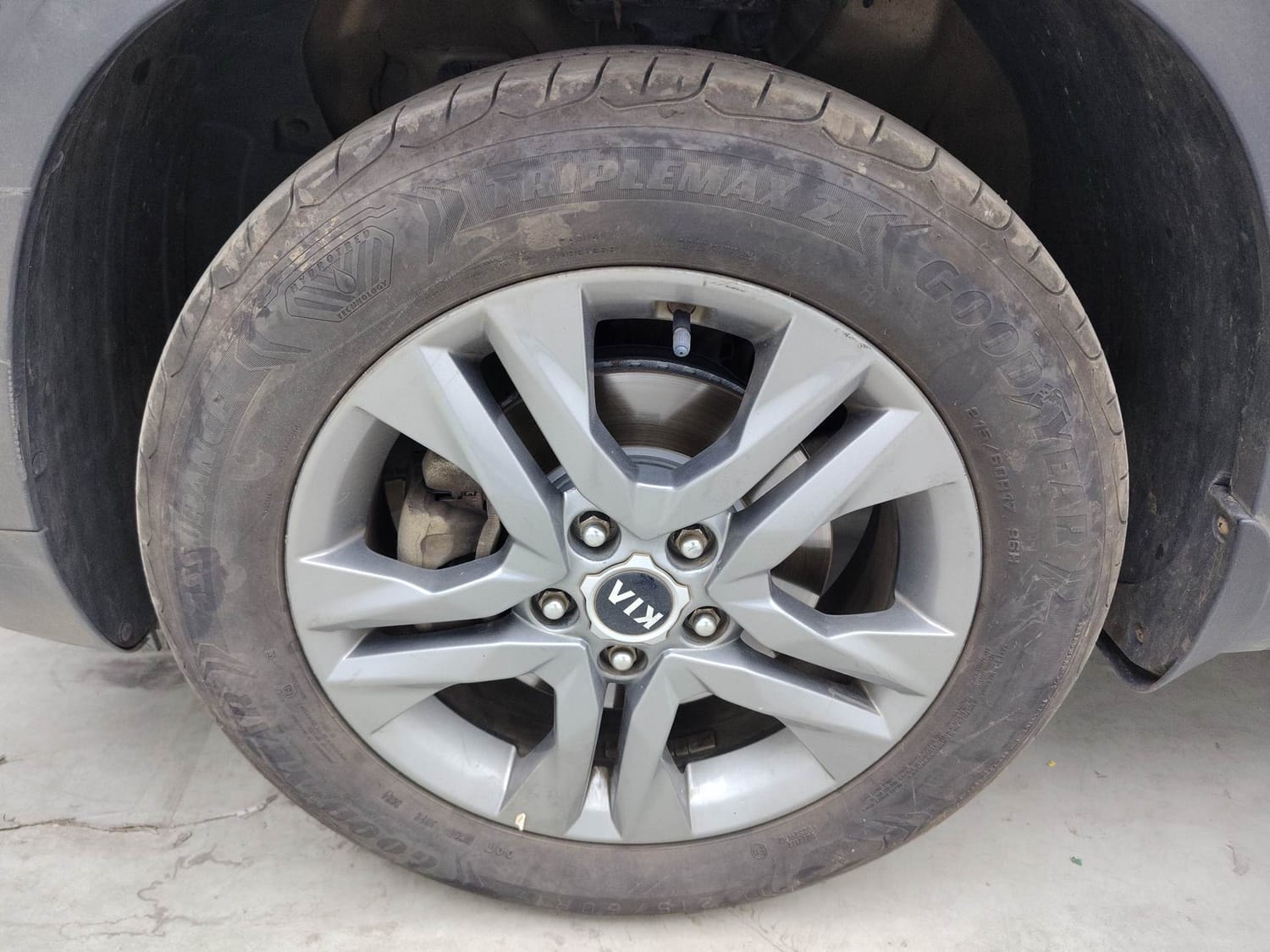 Seltos image 34 Seltos image 34