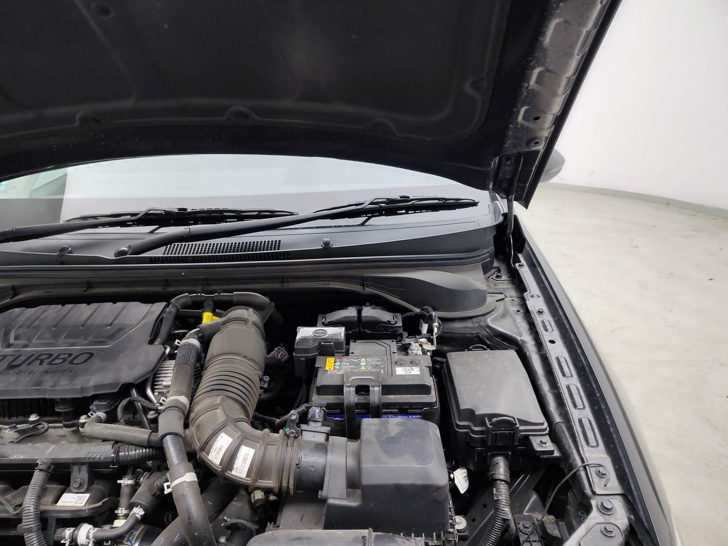 Verna image 30 Verna image 30