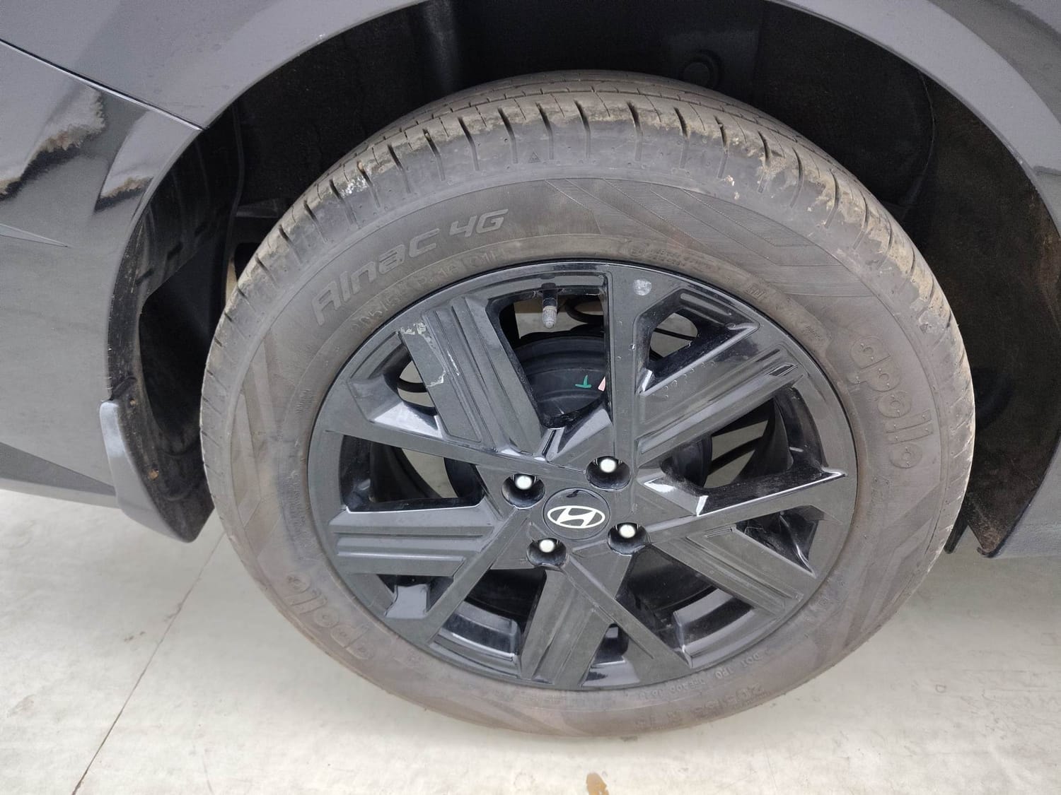 Verna image 33 Verna image 33