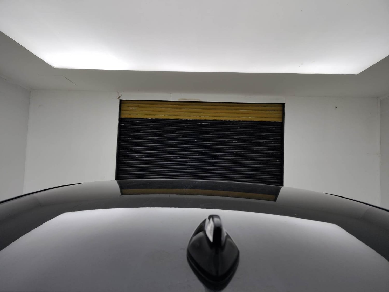 Verna image 11 Verna image 11