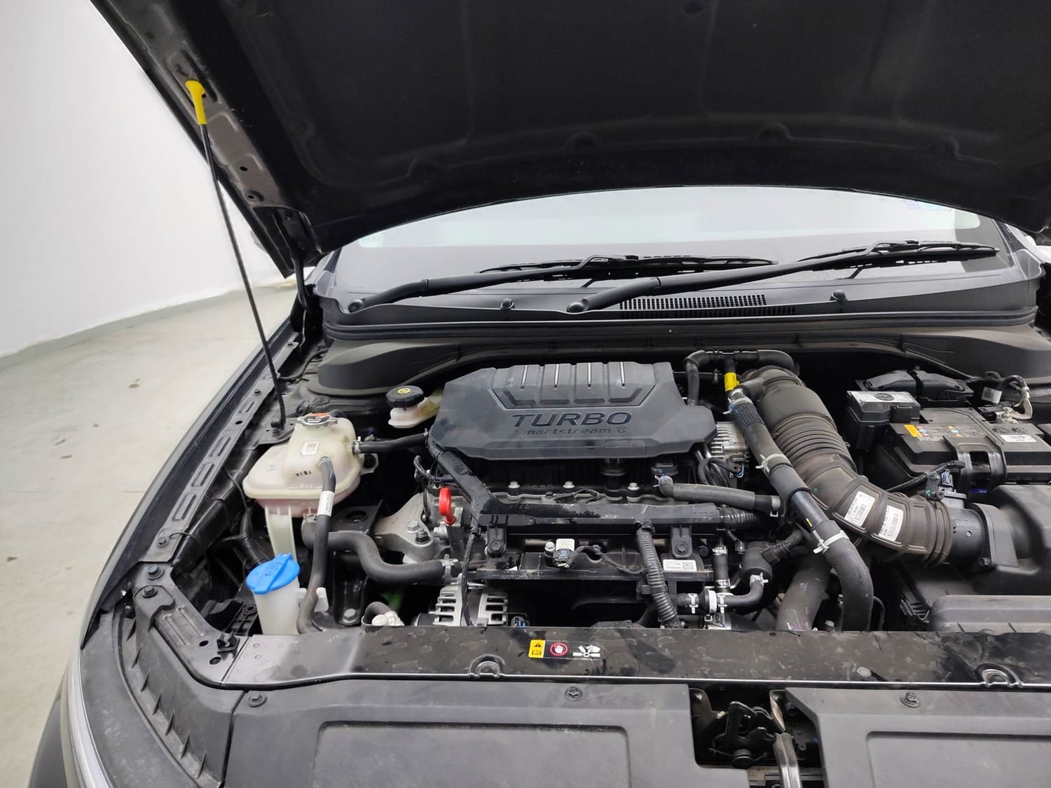 Verna image 29 Verna image 29