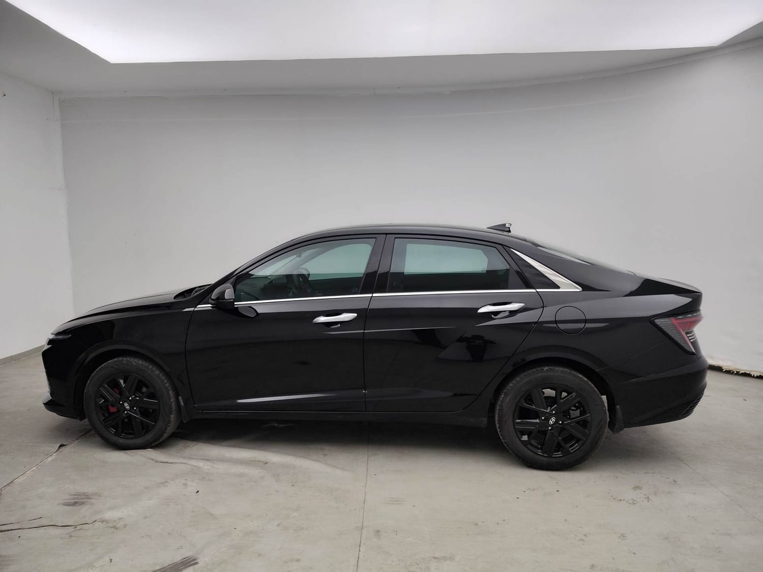 Verna image 2 Verna image 2