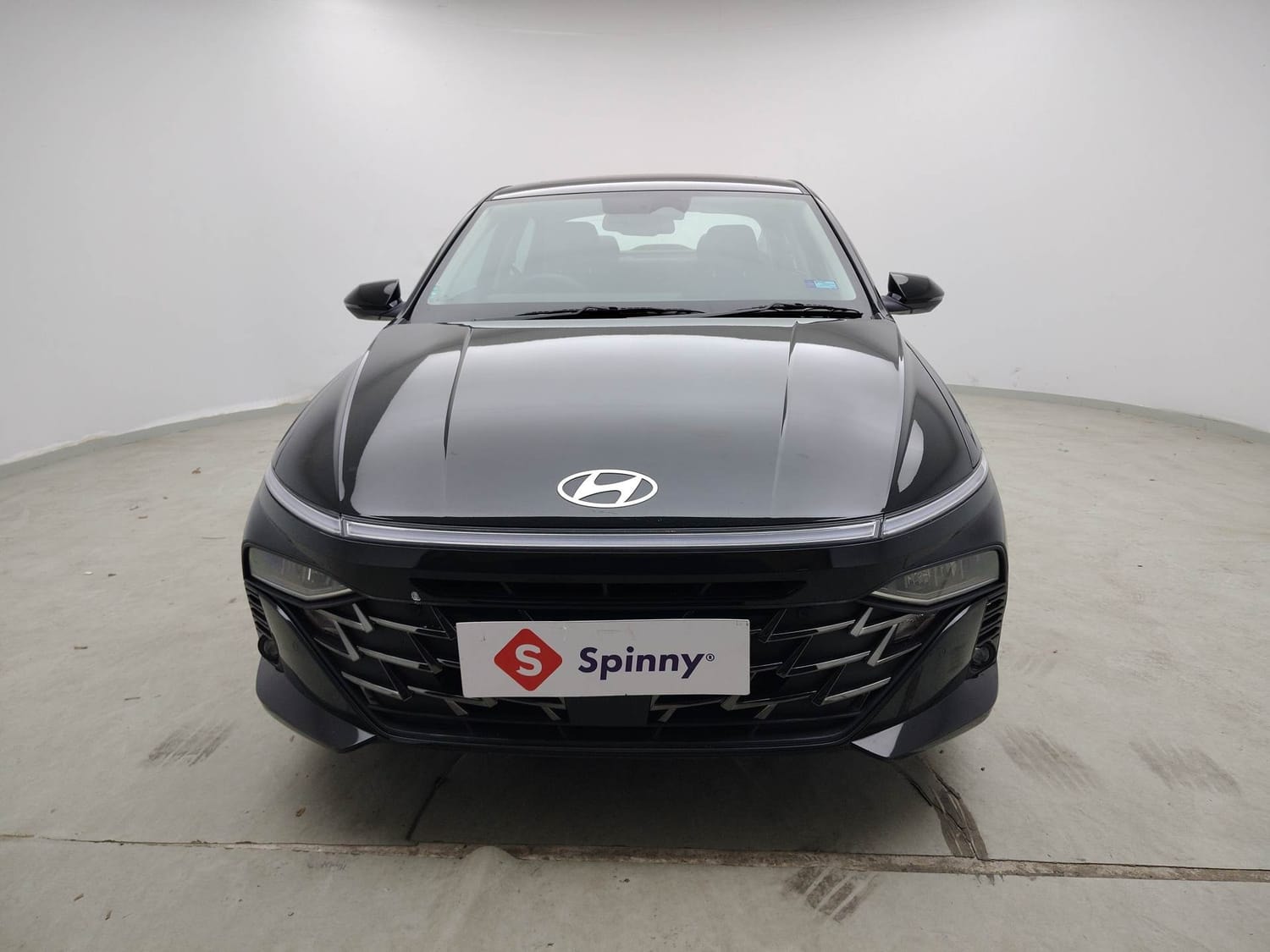 Verna image 8 Verna image 8