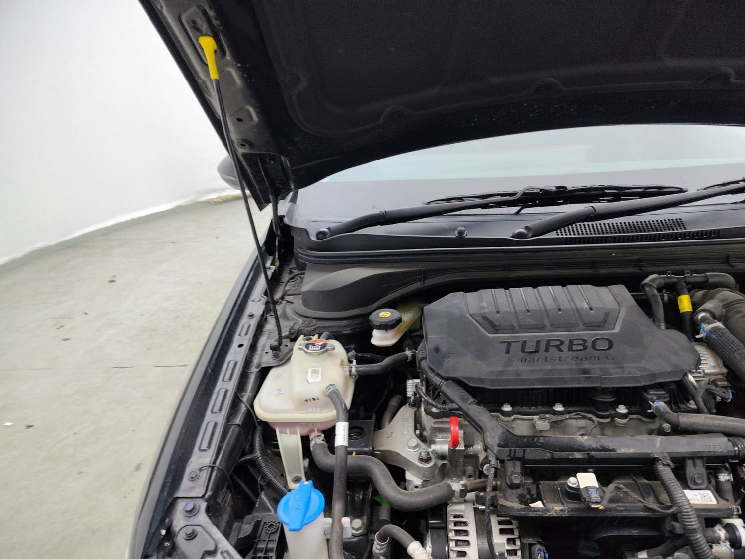 Verna image 31 Verna image 31