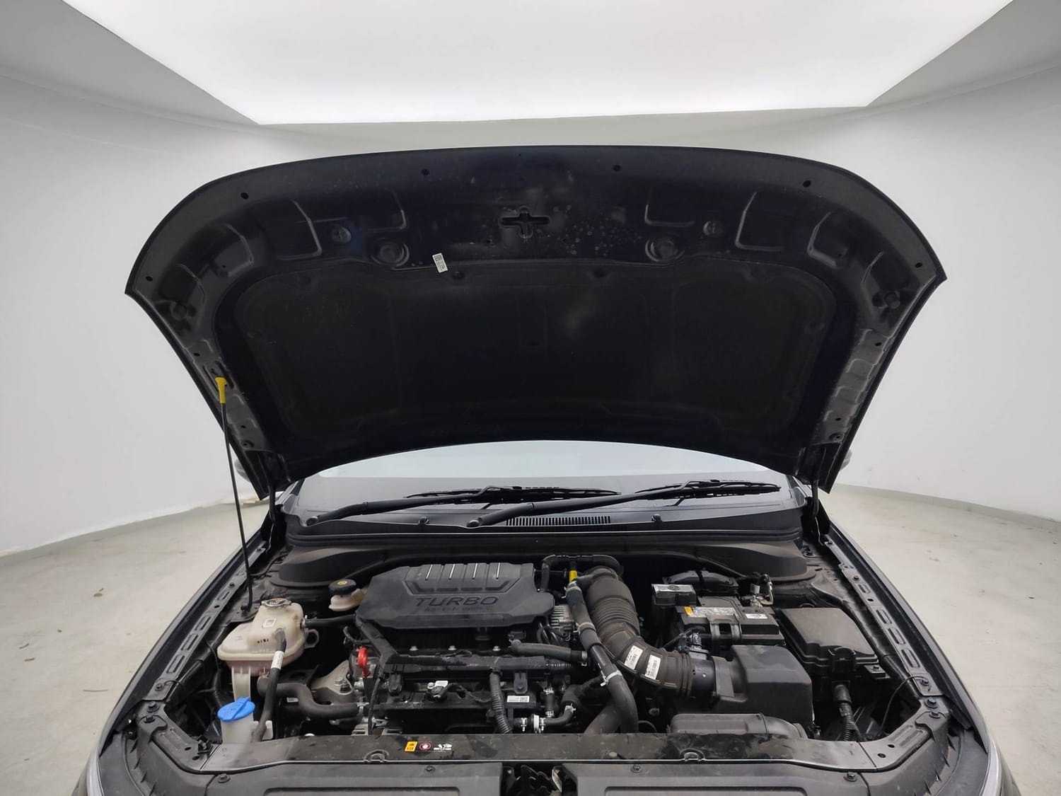 Verna image 27 Verna image 27