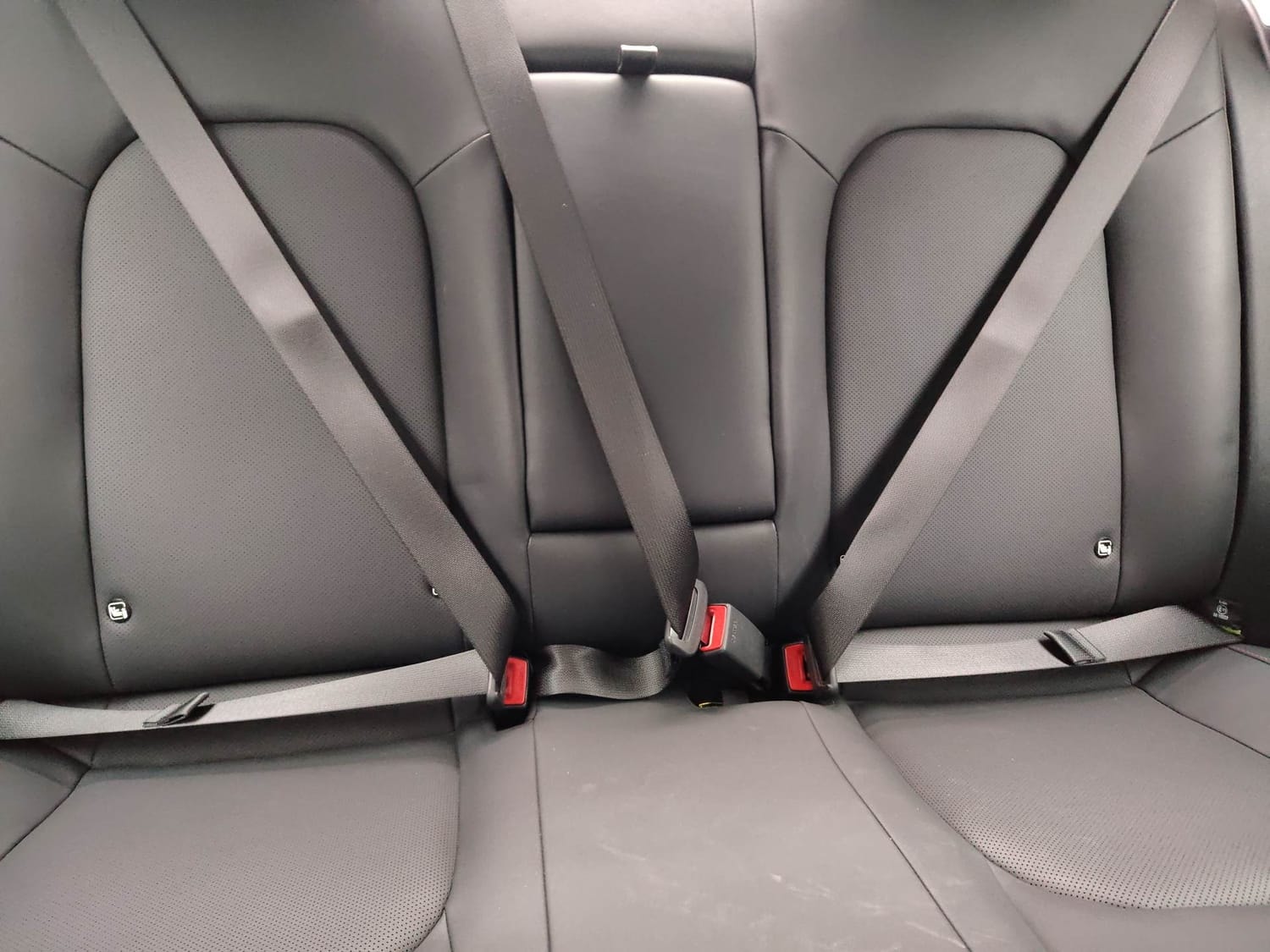 Verna image 23 Verna image 23