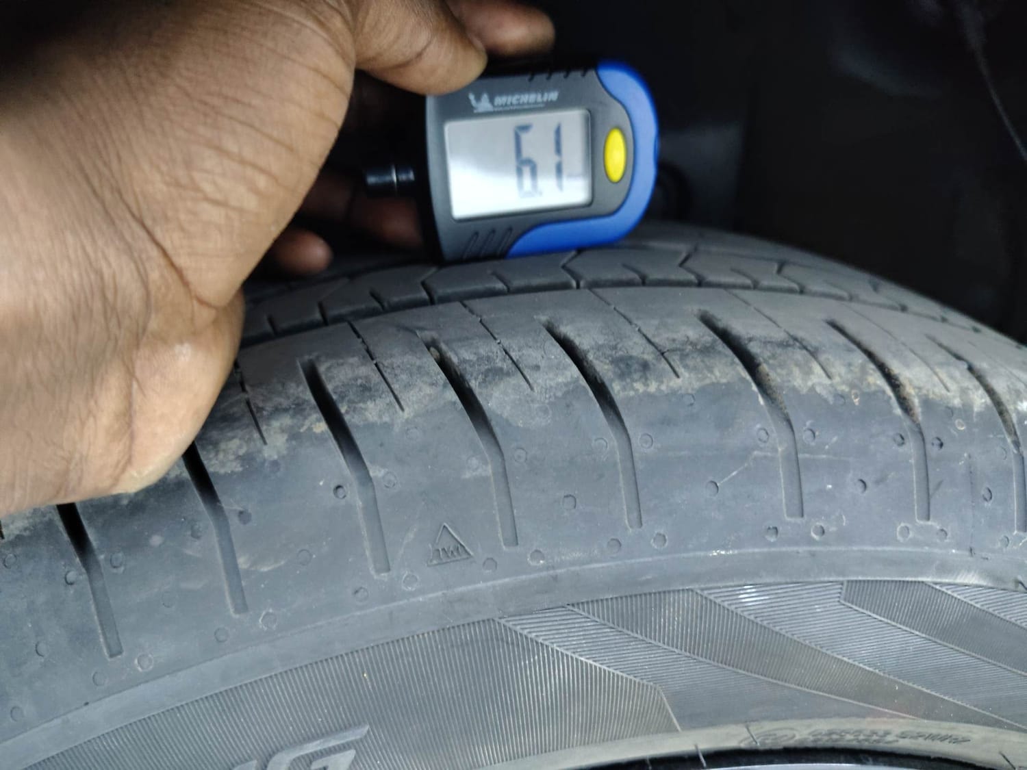 Verna image 37 Verna image 37