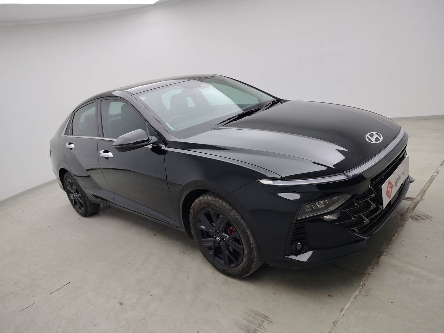 Verna image 7 Verna image 7