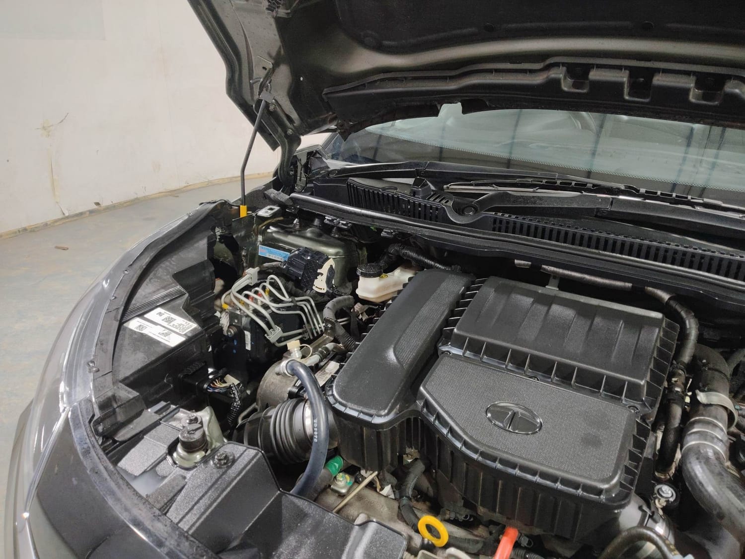 Nexon image 29 Nexon image 29